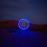 Nightcathcer_vierkant_2